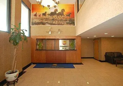 Comfort Inn Brooklyn Нью-Йорк 2*,  США